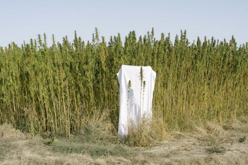 architectural_review_hempcrete_insulation_featured-492x328.jpg